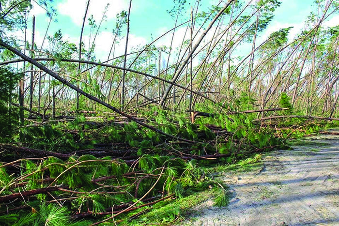 Hurricane Michael