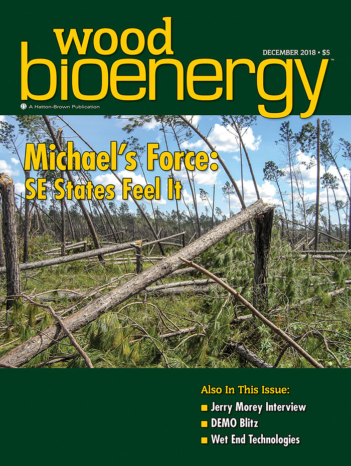December 2018 Wood Bioenergy Cover