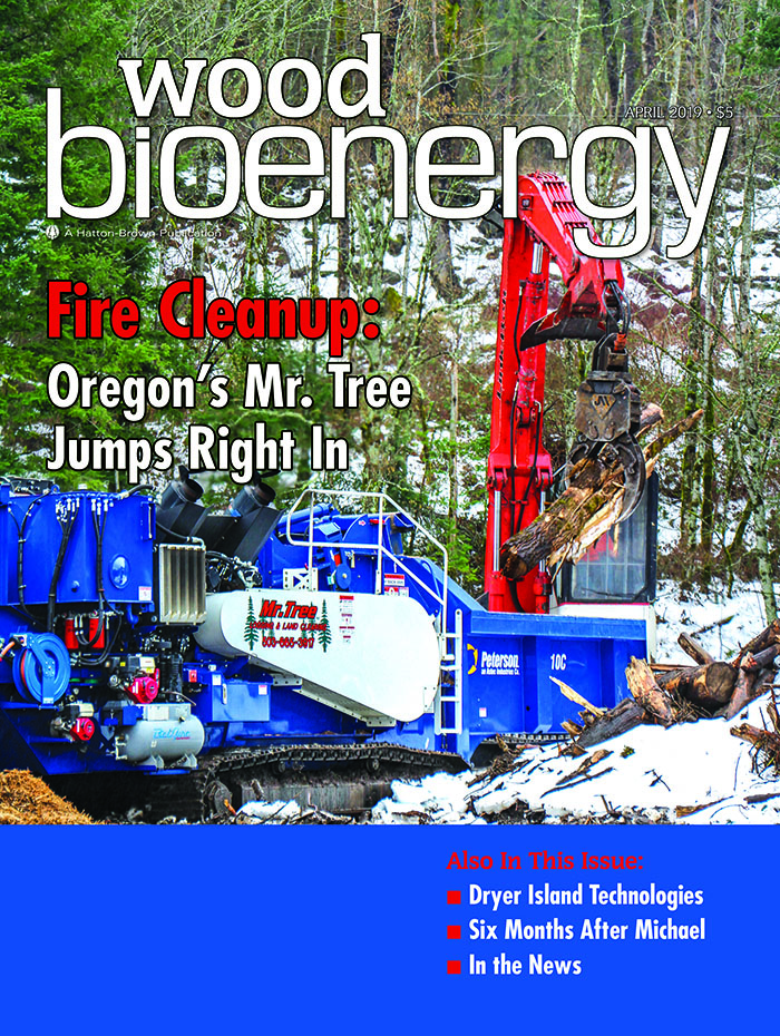 April 2019 Wood Bioenergy Cover