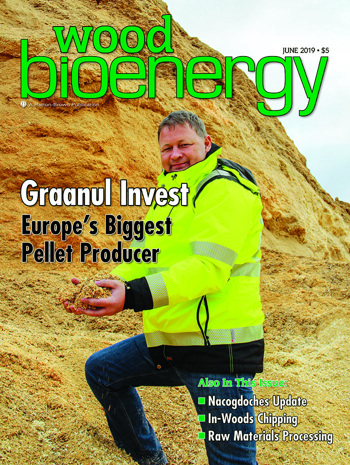 June 2019 Wood Bioenergy Cover