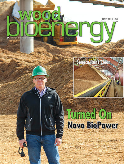 June 2015 Wood Bioenergy Cover