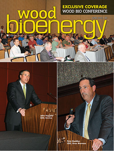 June 2016 Wood Bioenergy Cover