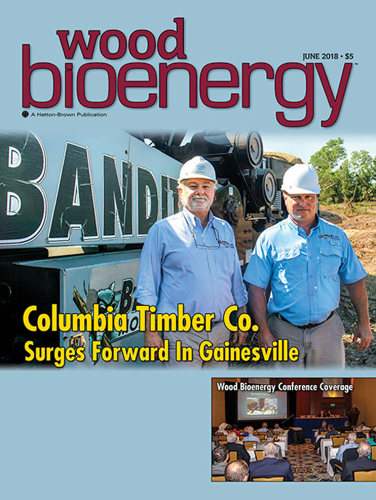 June 2018 Wood Bioenergy Cover